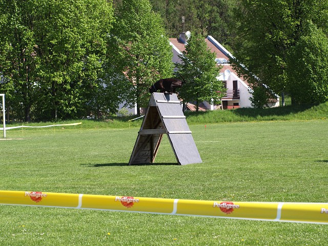 www.atibox.net * www.euroboxer.eu * www.boxergenealogia.eu